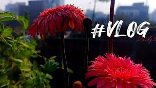 UNIQUE Flower  | Tahera khan VLOG | #flowers