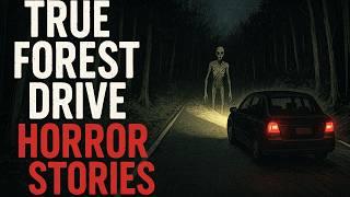 True Forest Drive Horror Stories | Appalachian Mountain, Deep Woods