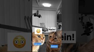  #zahnarzt #dentist #zahnmedizin #zahnarztpraxis #humor #zahnmedizin