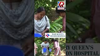 മു​ണ്ട​ക്ക​യം, കോ​രു​ത്തോ​ട് മേ​ഖ​ല​യി​ൽ മ​ഞ്ഞ​പ്പി​ത്തം പ​ട​രു​ന്നു | PAni | Mundakkayam |Koruthode