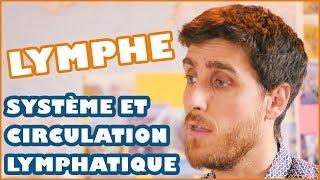 COMPRENDRE LE SYSTÈME LYMPHATIQUE ET LA LYMPHE