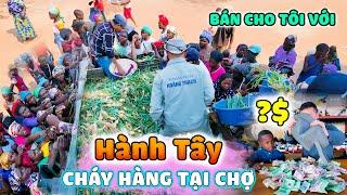 Quanglinhvlogs || Hành Tây "Cháy Hàng" Ngay Ngày Đầu Ra Quân - Thu Nhập Khủng ???