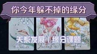 你今年躲不掉的缘分？关系发展｜缘分课题（tarot reading｜pick a card｜timeless）