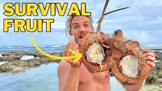 The Best Survival Fruit In The World