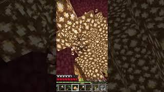 Unfriendly nether  #minecraft #minecraftletsplayseries #twitch #letsplayseries #funny ￼