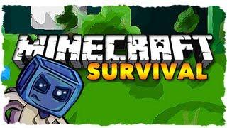 Minecraft Survival - EPIC Diamond Find! (Ep. 6) | iJevin