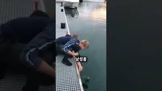 벨루가의 지능 수준ㄷㄷ....#shorts