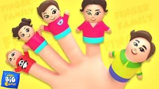 Baby Finger Where Are You? | Finger Family Song  @LolliTunesTv Nursery Rhymes & Kids Songs [ NEW ]