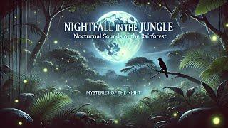 Nightfall in the Jungle: Nocturnal Sounds of the Rainforest  Mysteries of the Night 