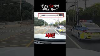 (맹블박) 경찰차를 신고한 이유