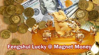 Lucky Golden Toad Music | Money Magnet | Meditation