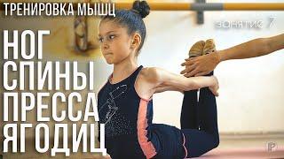 ТРЕНИРОВКА МЫШЦ НОГ СПИНЫ ПРЕССА И ЯГОДИЦ ДОМА ВМЕСТЕ