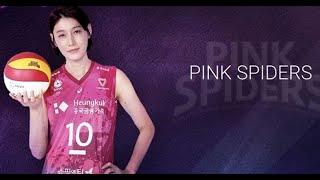 Heungkuk Life Pink Spiders vs. Korea Expressway Hi-pass Women V-League 20/21 regular season Round 1