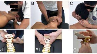 Manual Mobilization | Upper limb Neurodynamics | Lower Limb Neurodynamics Live Stream