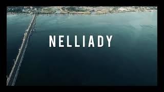 Jaffna Drone Whatsapp Status Video - Tamil #Jaffna #Yalpanam #Nelliyadi #JaffnaFort