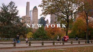 New York vlog : Fall in love with NYC in a day