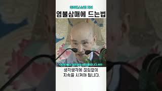 염불삼매에 들어가는 방법 #청화스님 #나무아미타불 #관세음보살