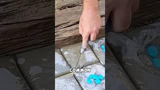 This simple DIY transformed his backyard!