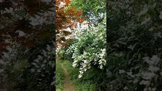  라이언의 좋은날        ~^^