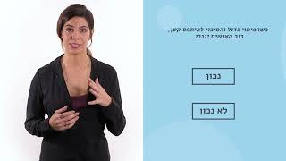 מבחן אמינות ממוחשב – מכון נועם