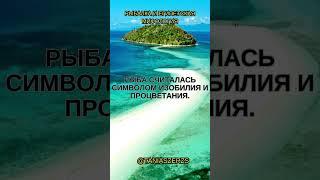 Следствие вели рыбаки: Исследование загадочных рыболовных уловов #психология #ловля  #fider #carp