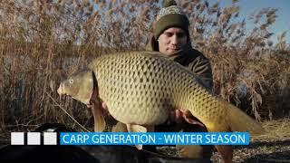 Carp generation – Winter season