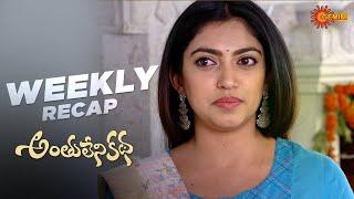 Anthulenikatha | Ep 61 - 65 | Recap | Weekly Roundup | Gemini TV | Telugu Serial