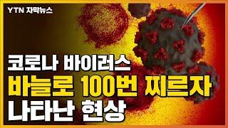 [자막뉴스] '코로나바이러스' 바늘로 100번 찌르자 나타난 현상 / YTN