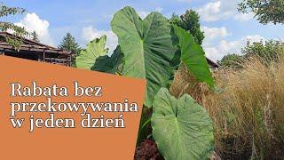 RABATA BEZ PRZEKOPYWANIA W JEDEN DZIEŃ. KROK PO KROKU