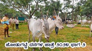 ಜೋಡುಗಟ್ಟೆ ಹಳ್ಳಿಕಾರ್ ಜಾತ್ರೆ 2024 ಭಾಗ 2