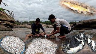 น้ำขึ้นปลาขึ้น ชาวบ้านได้เยอะมาก//ນ້ຳຂຶ້ນປາຂຶ້ນ ຊາວບ້ານໄດ້ຫຼາຍ | 27 มิถุนายน ค.ศ. 2024