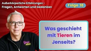 Was geschieht mit den Tieren im Jenseits? AKE Q&A 18