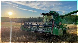 Żniwa Rzepaku 2024 | John Deere w540 | 2x Steyr | Man TGX 18.440