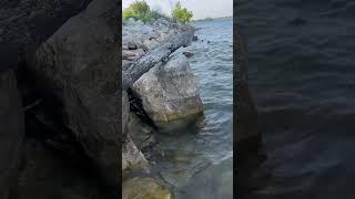 WARNING SATISFYING WATER SOUNDS‼️‼️️| CANADA