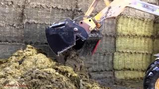 Feeding Cows - Loading the Wagon with JCB.