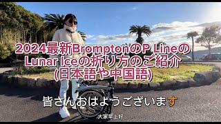 2024 最新Brompton P Line Lunar Ice