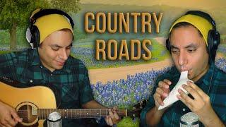 Take Me Home, Country Roads - Ocarina Cover || David Erick Ramos