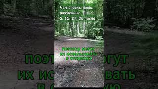 Чем опасны люди, рожденные 3, 12, 21, 30 числа #нумерология