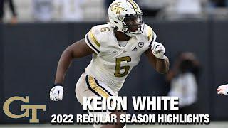 Keion White 2022 Regular Season Highlights | Georgia Tech DL