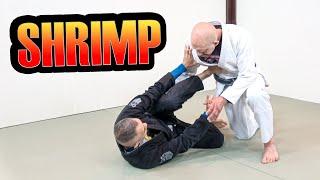 The Ultimate BJJ Beginner's Guide Part 2 - How To Shrimp