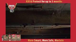 How to get rid of Cockroaches – Mortein Kill & Protect Crawling Insect Control Bomb