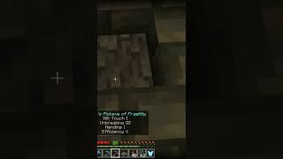 The oldest glitch in the game...inventory bug