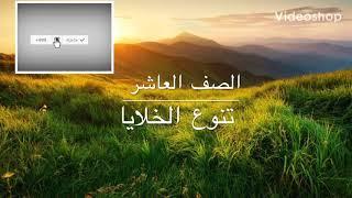 تنوع الخلايا - الصف العاشر