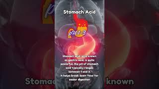 Power of Stomach Acid: [HCL] in our body