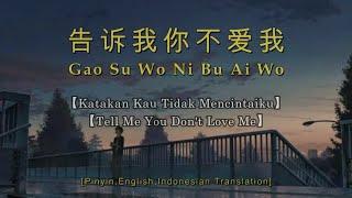 Gao Su Wo Ni Bu Ai Wo 【 告诉我你不爱我 】【 Tell Me You Don't Love Me 】【 Katakan Kamu Tidak Mencintaiku 】