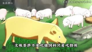 【文殊菩萨的故事】奇异的勃荷金色猪。 #佛教故事 #文殊菩萨 #修行修心 #佛教