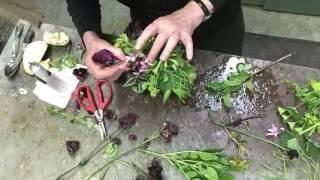 Francoise Weeks - Eggplant Arrangement - Timelapse