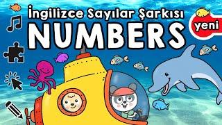 Numbers Song - Sayılar Şarkısı (İngilizce)