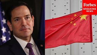BREAKING: State Dept Holds Press Briefing After Rubio Announces Push To Revoke Chinese Student Visas