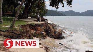 Beach erosion getting more serious in Batu Ferringhi